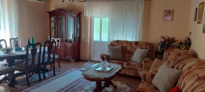 Sotonići home